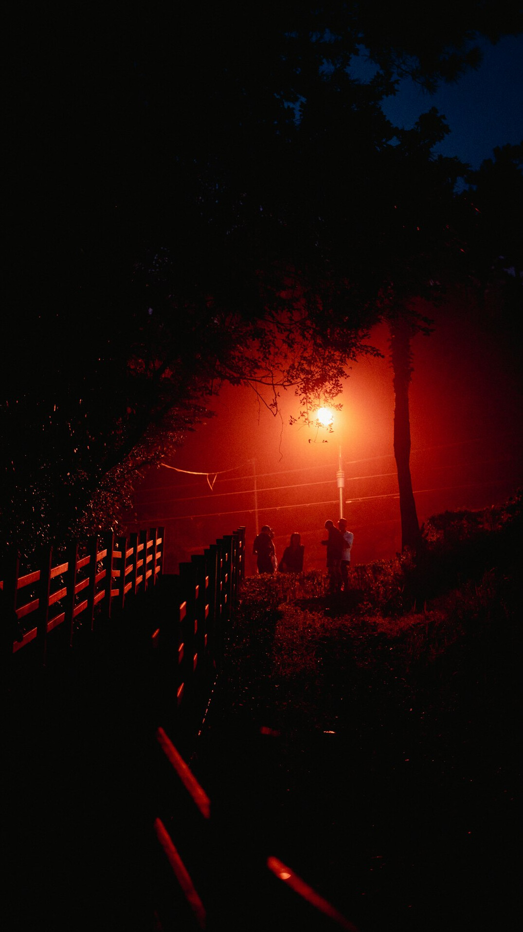 foggy street at night